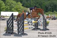 Dorset, VT - Summer Festival Horse Shows - Brown Horse jumping Gray Fence